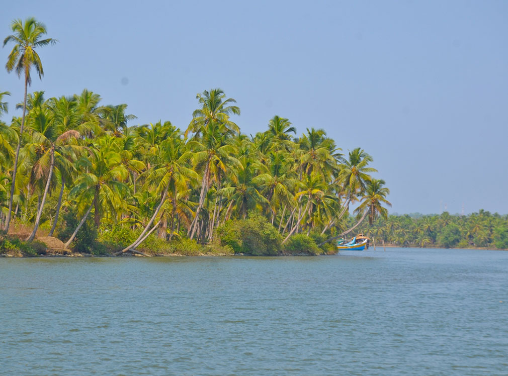Houseboating in Kerala - Alto 800