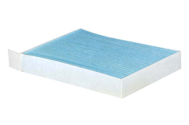 Cabin Air Filter - PM10 | Ritz