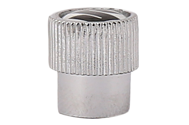 Valve Cap (Silver) - 5 Pieces