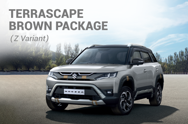 Terrascape Brown Package | New Brezza (Z Variant)
