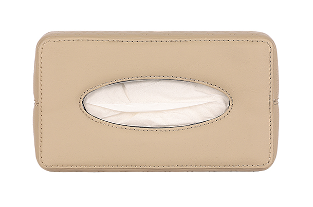 Tissue Box (Beige)