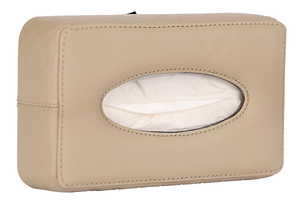 Tissue Box (Beige)