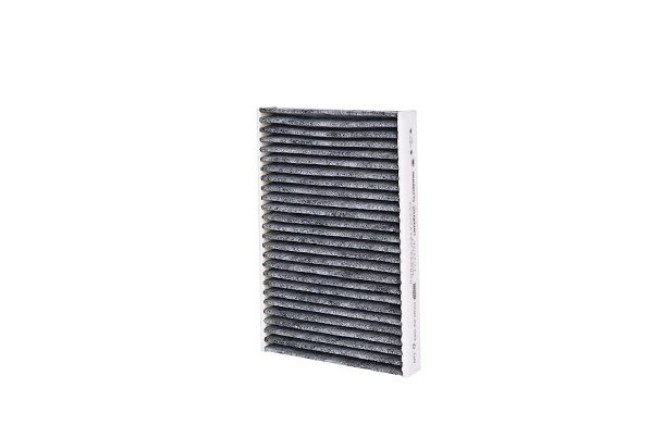 Activated Carbon Filter | (Brezza, Ciaz, S-cross, Grand Vitara)